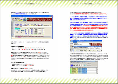 200ページにも及ぶ解説書