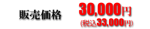 販売価格30000円(税込32400円)